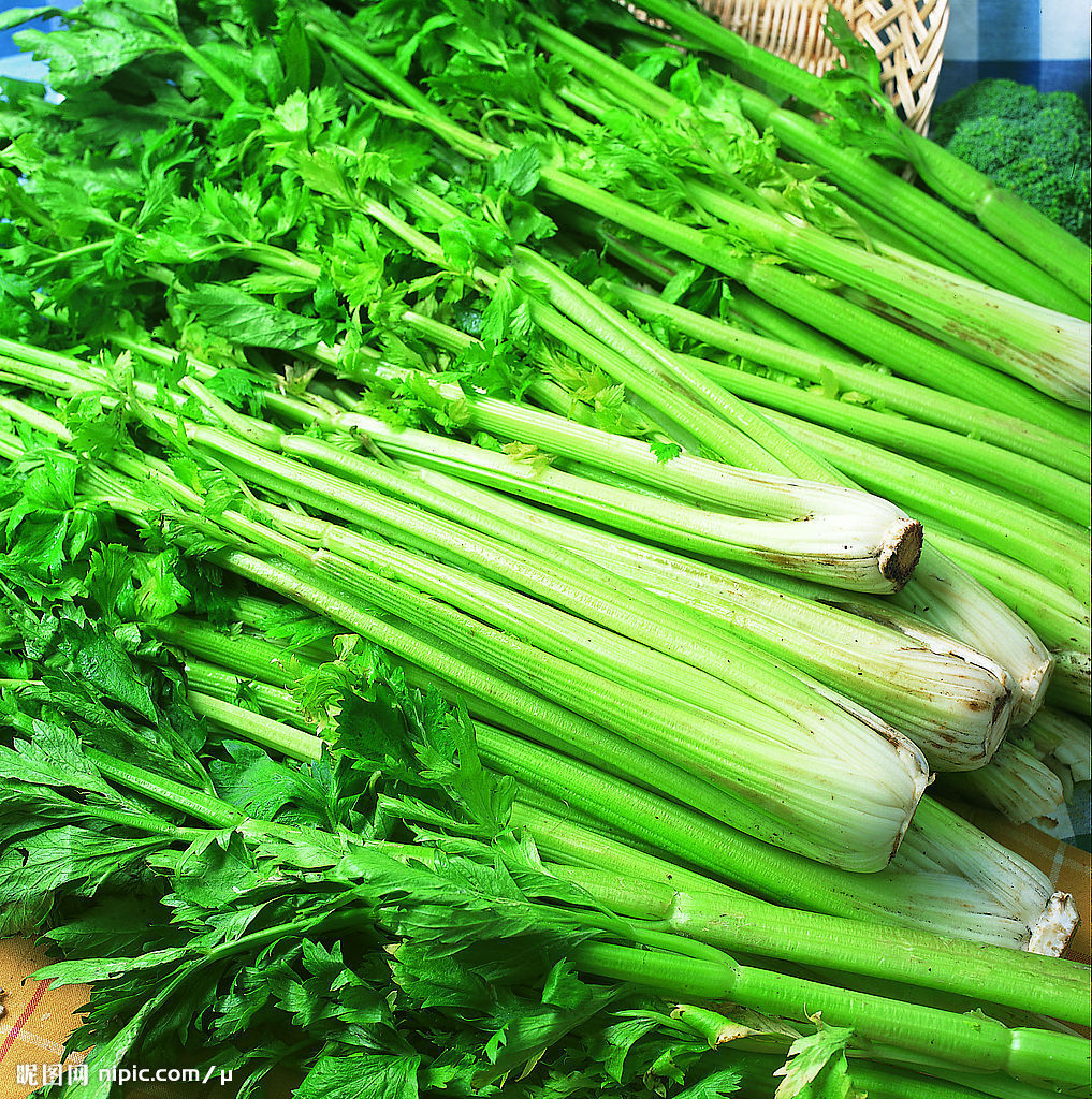 河南省舞钢市蔬菜种植基地优质西芹30吨 - 供应